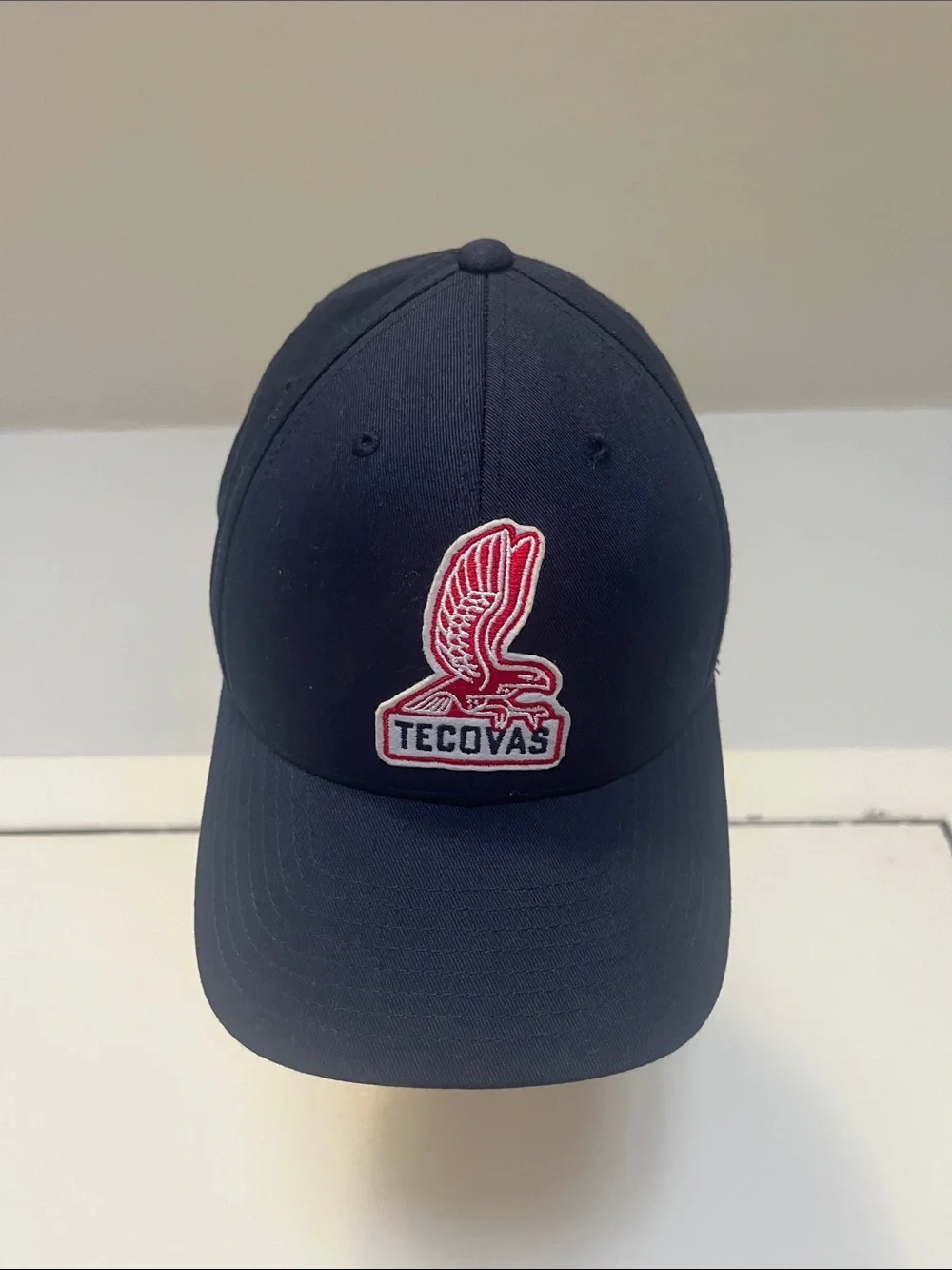 Tecovas Navy Cap with Red & White Eagle Patch